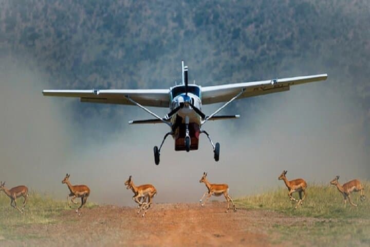3-Day Masai Mara Flying Luxury Lodge Private Safari