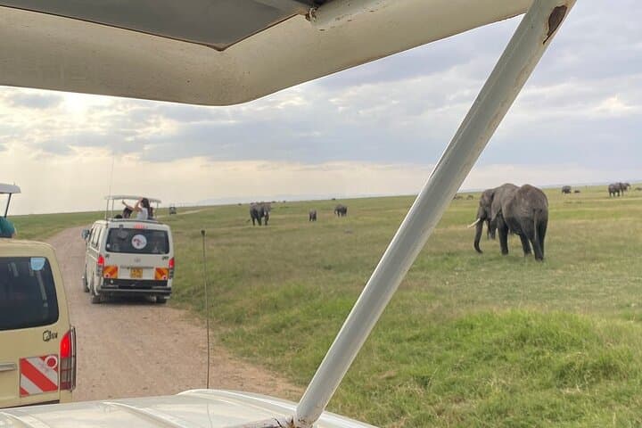Day Tour to Amboseli National Park