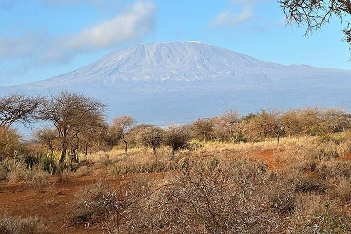 Day Tour to Amboseli National Park