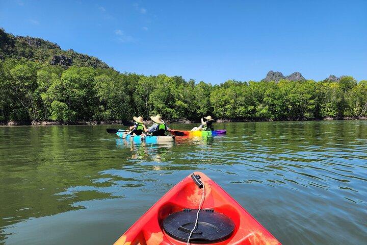 Langkawi : Mangrove Kayak Tour by Sham