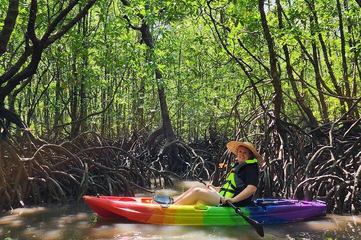 Langkawi : Mangrove Kayak Tour by Sham