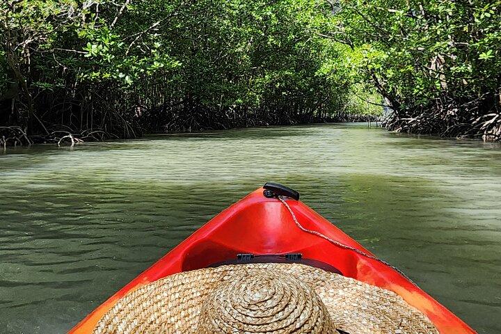Langkawi : Mangrove Kayak Tour by Sham