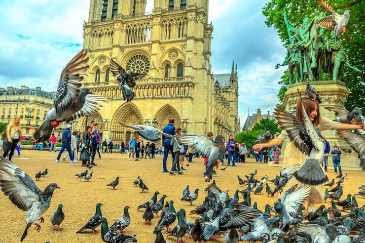 Notre-Dame Cathedral Tour with Audioguide (no ticket)