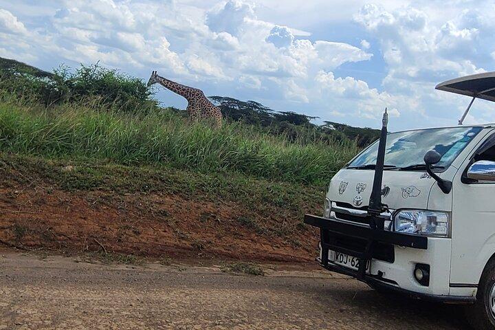 Nairobi National Park Half Day Safari