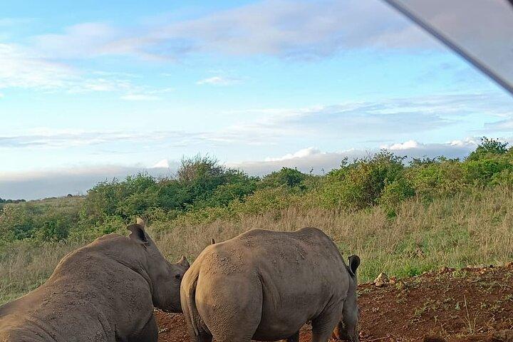 Nairobi National Park Tour