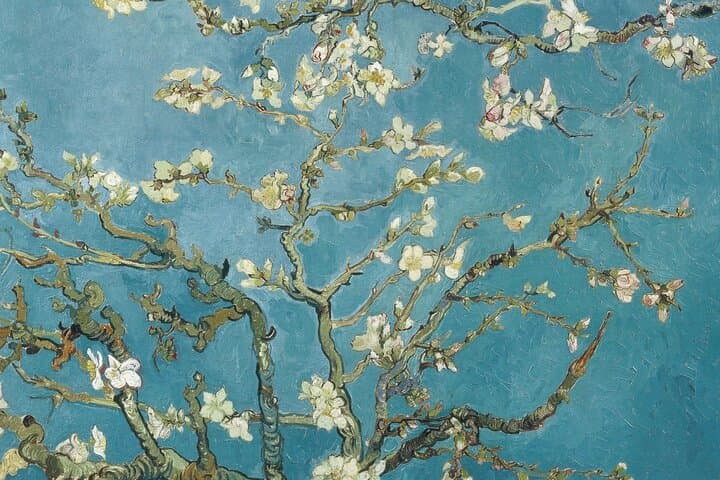 Van Gogh Museum Amsterdam Private Guided Tour With Admission