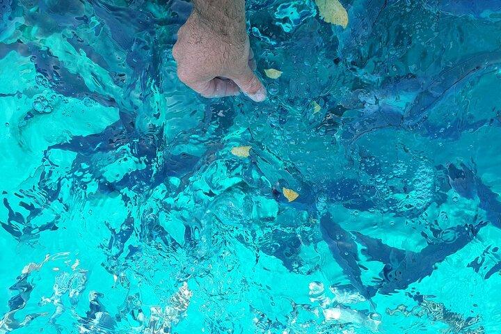 Private tour of Pakleni islands, Red Cliffs & South Shore of Hvar