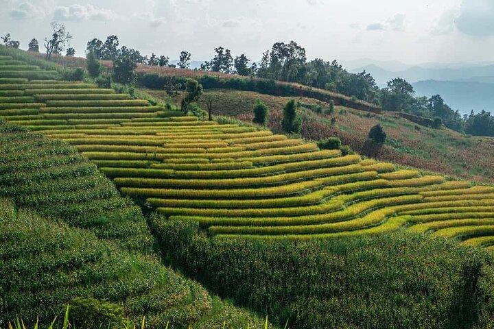 Chiang Mai to Doi Inthanon Escape to Nature