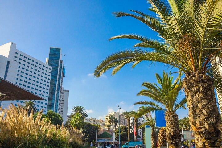 Half Day Casablanca City Tour, Lunch Included