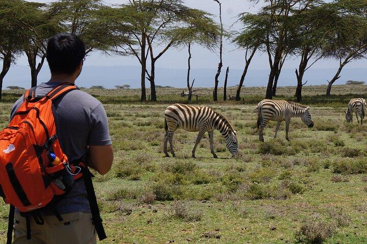 Crescent Island Walking Safari & Naivasha Boat Ride