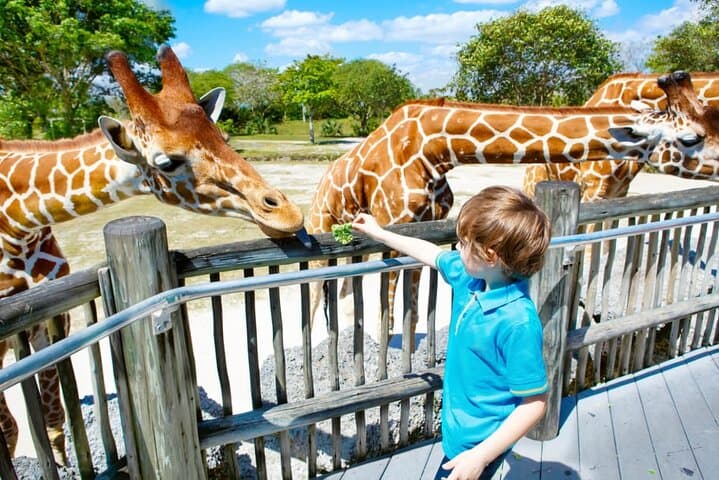 Dubai Safari Park