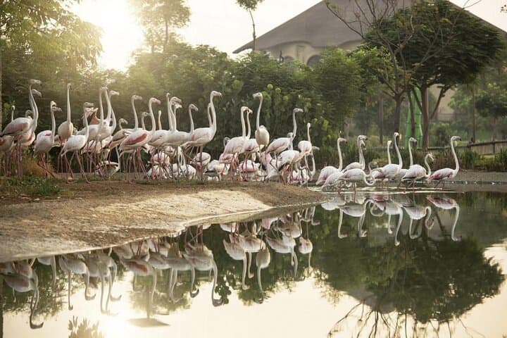 Dubai Safari Park