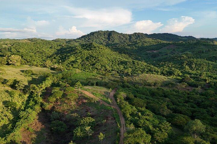 Horseback Ride to Colombia's Only Macaw & Parrot Sanctuary