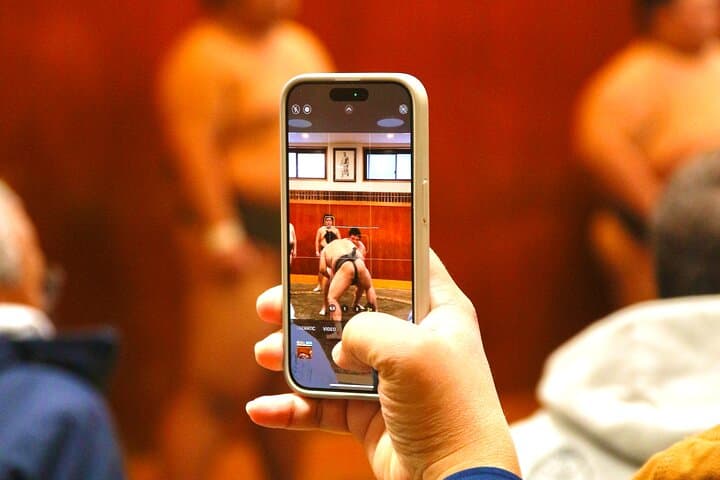 Tokyo Sumo Morning Practice: Viewing & Exclusive Interaction