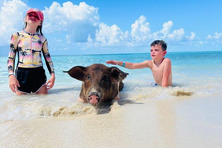 Perfect Day Swimming Pigs, Turtles, Reef Snorkel & Lunch