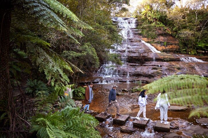Blue Mountains Sunset Tour with Kangaroo Sightings from Sydney