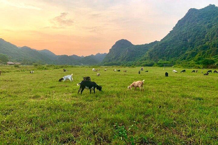 Hanoi: 3-Day Discover the most stunning Cat Ba Island, Lan Ha Bay