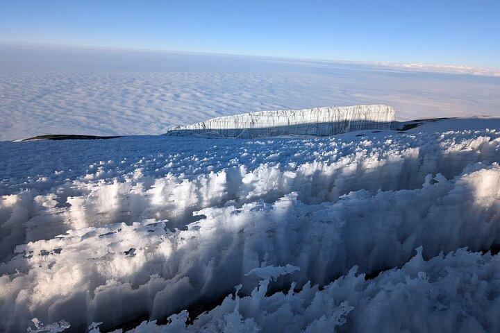 8 Days Mount Kilimanjaro Trekking via Lemosho Route
