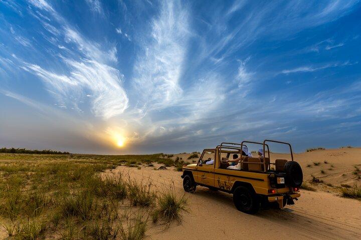 Evening Heritage Safari by Vintage G-Class at Al Marmoom Oasis