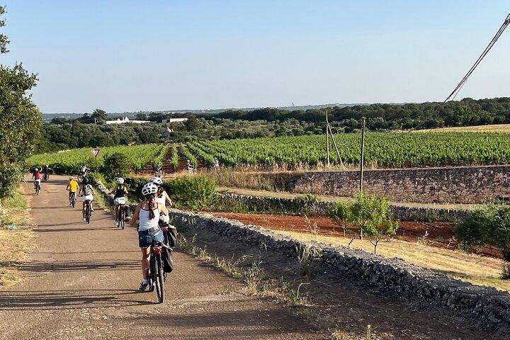 E bike tour from Alberobello to Locorotondo round trip