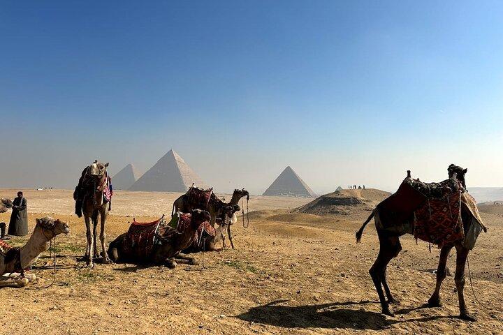 7 Days Private Tours for Cairo, Alexandria, Luxor and Aswan