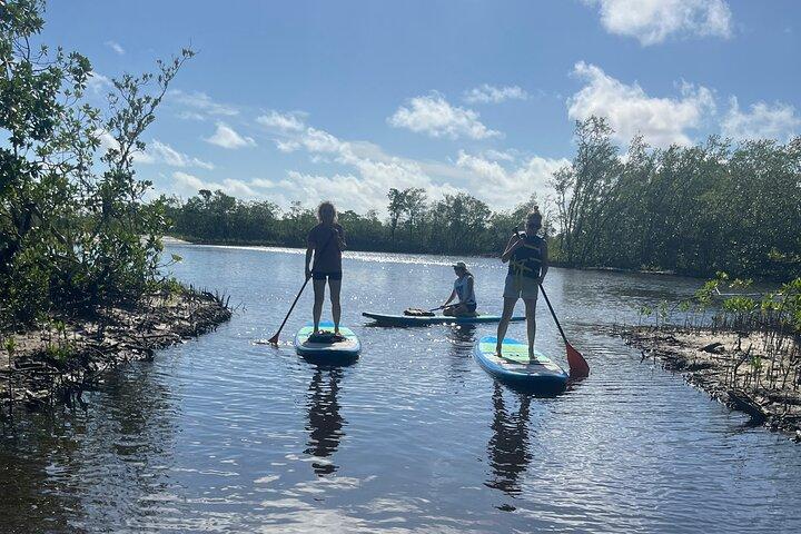 Let’s Paddle Jupiter - guided tours