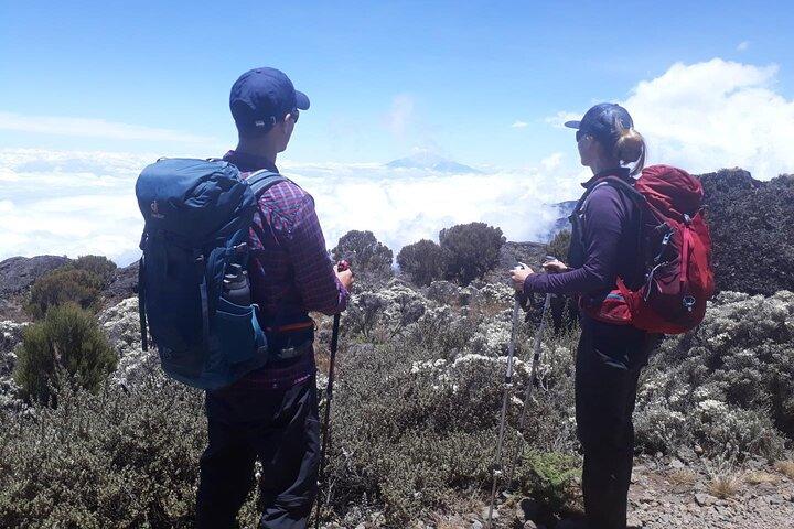 2 Days Mt Kenya Overnight Naromoru Route