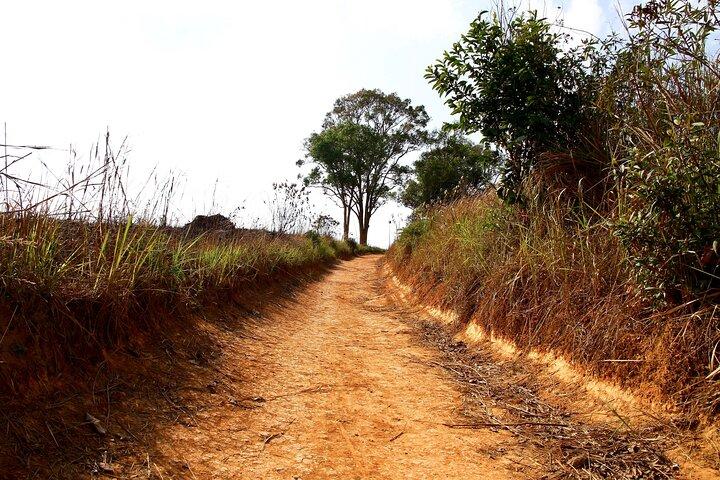 Khao Yai National Park Full Day Tour from Bangkok