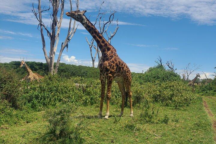 Nairobi: Day tour to Hell's gate, Lake Naivasha & crescent island
