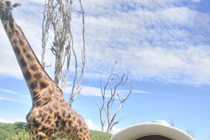 Nairobi: Day tour to Hell's gate, Lake Naivasha & crescent island