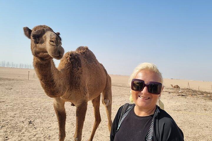 Kuwait: Half-Day City & Desert Tour with Pick-Up & Drop-Off