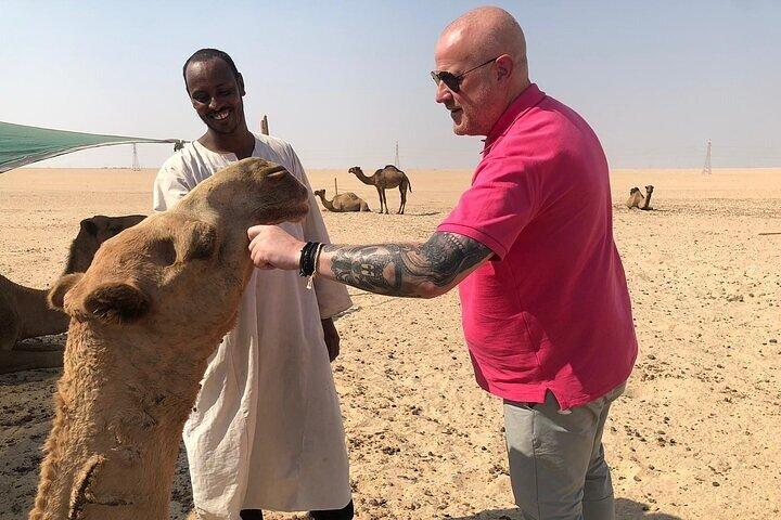 Kuwait: Half-Day City & Desert Tour with Pick-Up & Drop-Off