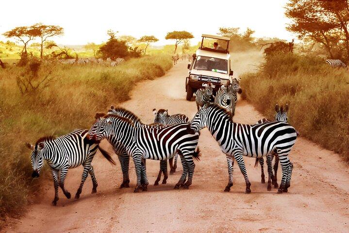 Pilanesberg National Park 6 Hour Safari from Sun City