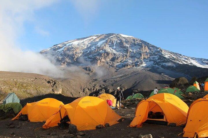 Kilimanjaro Climb Tour Experience via Machame Route