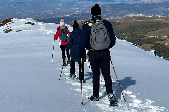 Hiking Snowshoeing in the Sierra Nevada Park, Granada