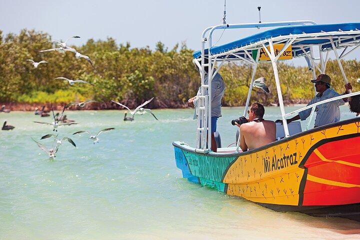Whale Shark Group Adventure from Isla Holbox