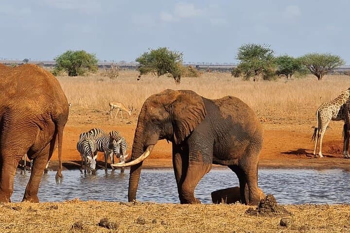 4WD Nairobi 3 Day Adventure Travel Package Tour