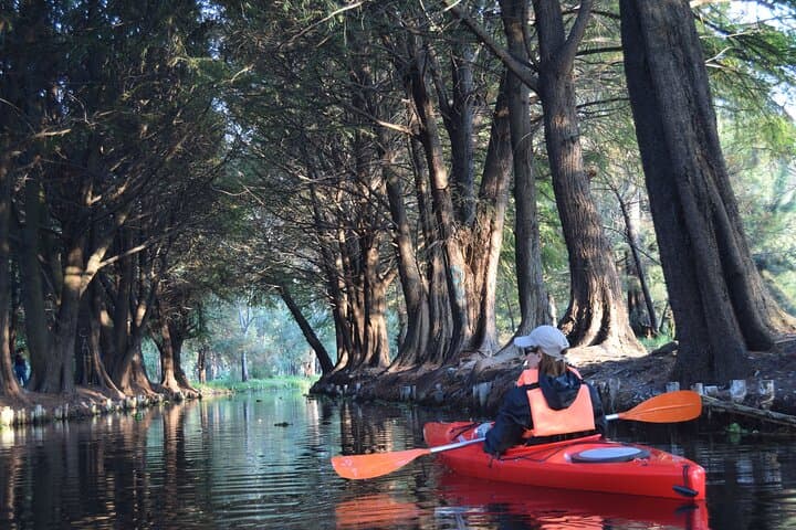Kayak at sunrise in Xochimilco: agroecological experience