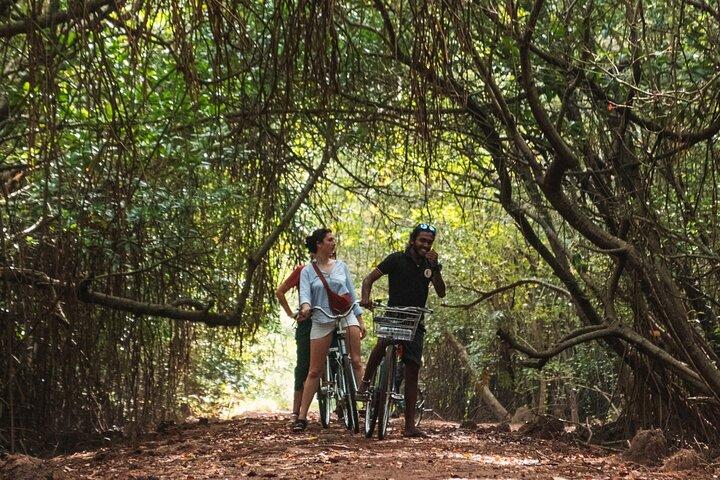 Half-Day Lagoon and Village Cycling Tour in Galle
