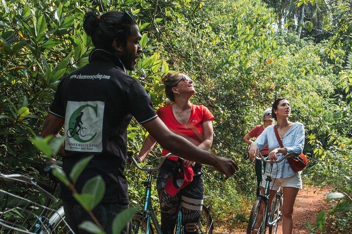 Half-Day Lagoon and Village Cycling Tour in Galle