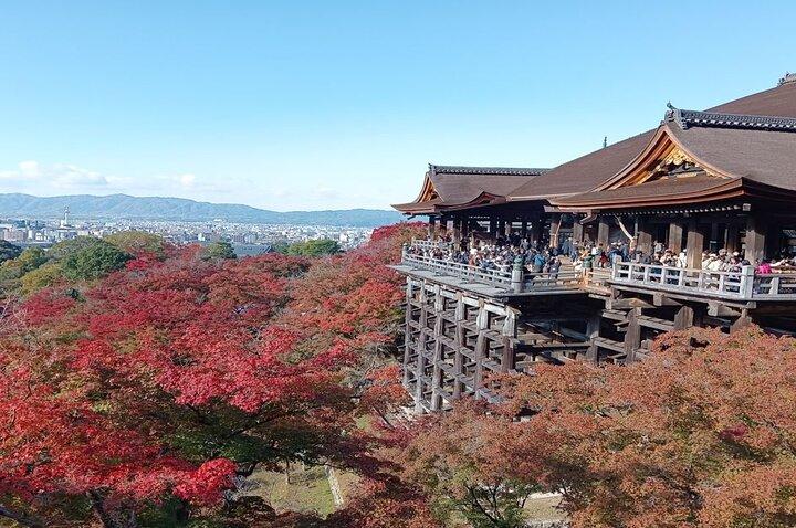 6 Hours Private Tour a Kyoto's Highlights