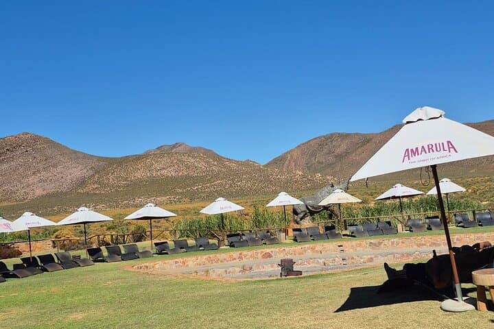 Sunset Aquila Big 5 Game Reserve Safari with Ticket and Snacks