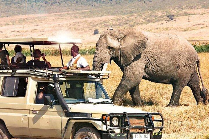 3 Day Thrilling Masai Mara Jeep Safari Spectacle