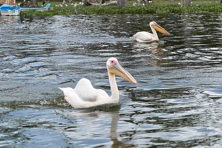 Overnight Tour to Mt Longonot and Hell's Gate Park from Nairobi