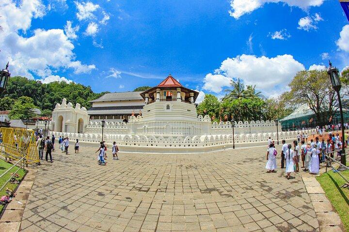 10 Days Private Vehicle & Driver Explore Sri Lanka By Your Plans