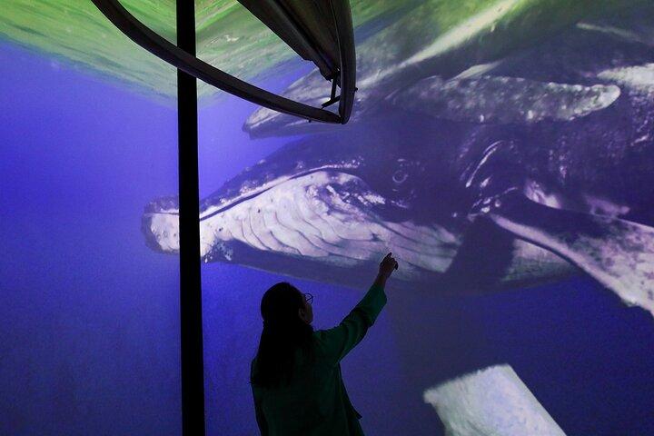 Munba National interactive Whale Museum