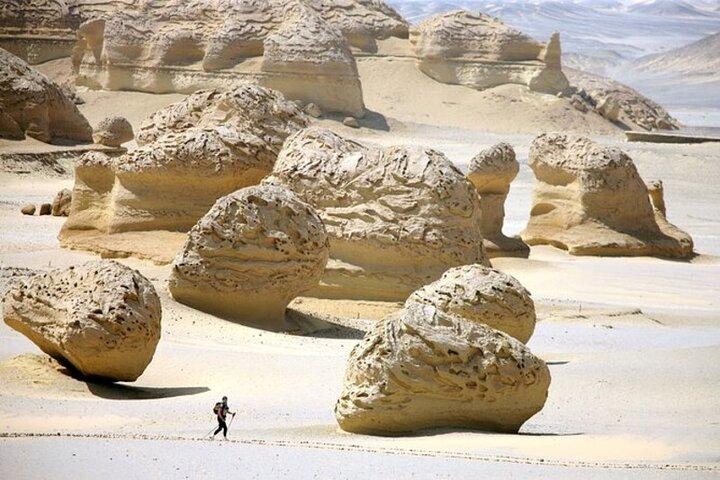 Fayoum Oasis Adventure A Day Trip Beyond Cairo