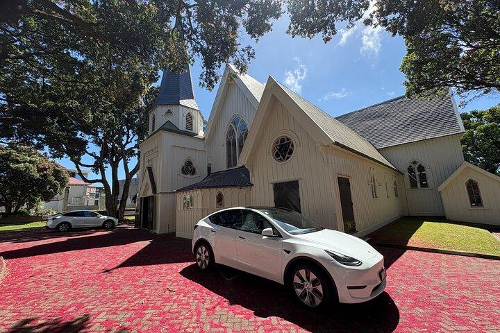 Wellington City and Sea: Private Tour in Electric Tesla SUV