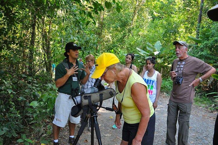 Manuel Antonio National Park Guided Tour from Jaco and Los Suenos