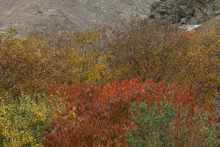 Atlas Mountain Imlil Waterfall & Berber Villages Camel Ride Trip